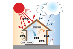 ガイナの５つの効果