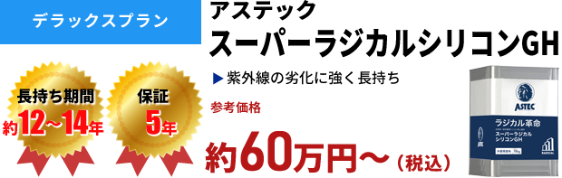 デラックスプラン アステック スーパーラジカルシリコンGH