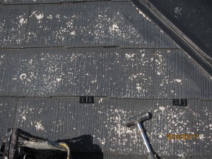 姫路市　浮いたモルタル壁・ひび割れ・バルコニーの錆など、塗装工事＆改修工事