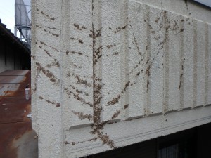 たつの市　ALC外壁のひび割れからの雨漏り補修とガイナ外壁塗装