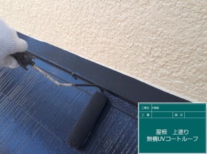 屋根外壁塗り替え！ワンちゃんハウス（犬小屋）お揃いコーデ塗装　姫路