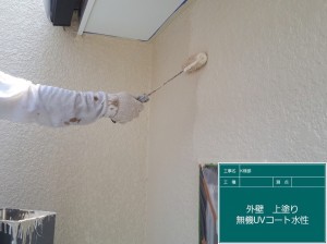 屋根外壁塗り替え！ワンちゃんハウス（犬小屋）お揃いコーデ塗装　姫路