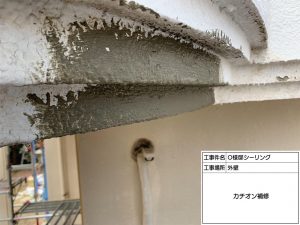 姫路市　塗装工事でより映えるお家に！雨どいに枯れ葉防止ネット取付