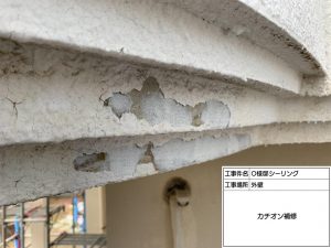 姫路市　塗装工事でより映えるお家に！雨どいに枯れ葉防止ネット取付