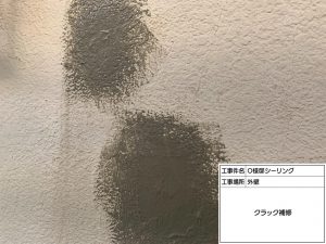 姫路市　塗装工事でより映えるお家に！雨どいに枯れ葉防止ネット取付