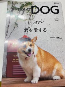 愛犬家に皆様に絶大な人気の雑誌「ｍｙＤＯＧ 」、ハウスレンジャーが掲載。姫路発、体感型ショールーム‼