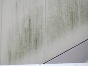 姫路市　無機塗料で超高耐候性重視　（外壁塗装・屋根塗装）