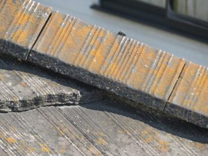 【姫路市・屋根外壁工事から1年点検】気になる屋根を重点的にアフターサービス点検