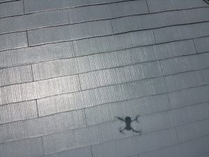 【姫路市　屋根・外壁塗装工事をしてから1年】屋根・外壁の１年点検を本当にしてくれるとは‥