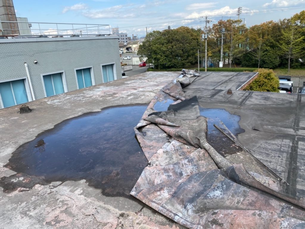 姫路市　雨漏り調査！社屋の雨漏り修理、屋上防水（ウレタン）工事