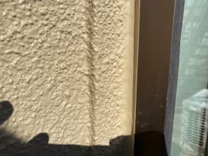 【姫路市　外壁塗装から1年】コケなどの汚れや剝れていた外壁に悩んでいたのに…