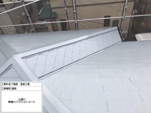 姫路市　防音・断熱・結露に効果的な玄関ドア交換リフォーム＆屋根外壁塗装でおしゃれに一新！