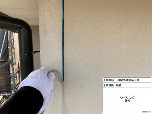 姫路市　防音・断熱・結露に効果的な玄関ドア交換リフォーム＆屋根外壁塗装でおしゃれに一新！