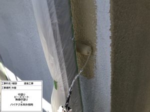 加古川市　築25年のわが家が屋根外壁塗装でこんなにきれいに！外壁のツタ、手すりのサビまでも•••