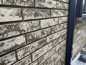 【明石市　屋根外壁塗装から5年】施工後も経過を診ていただけるというのは依頼側の安心感になります