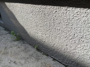 【姫路市　屋根外壁塗装から1年アフター点検】屋根材の割れ補修箇所も点検