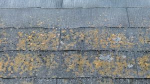 お家の寿命を延ばす屋根塗装・外壁塗装・バルコニー防水工事｜姫路市