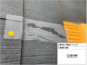 ひび割れは「タスマジック 」で補修