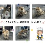 【加古川市】猫ちゃん達に久しぶりに会えた塗装後５年目の定期点検
