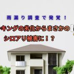 雨漏り調査で発覚！コーキングの劣化からまさかのシロアリ被害に!?姫路市